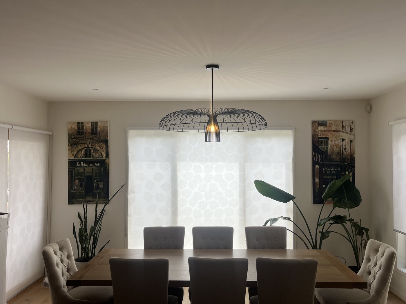 Wire dome pendant light installed above a dining table
