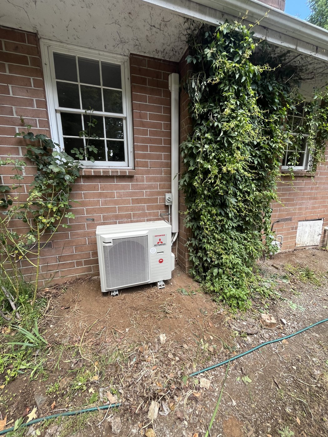 Split system outdoor unit installed on a brick wall with climbing vine